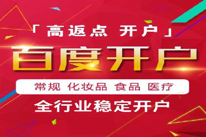 百度竞价代理技巧：经典成功案例解析